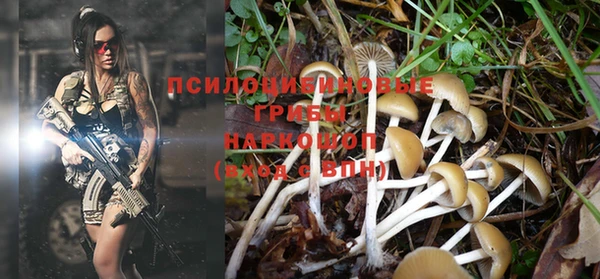 гидропоника Покров