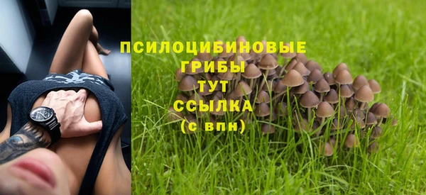 ГАЛЛЮЦИНОГЕННЫЕ ГРИБЫ Покровск