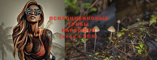 кристаллы Покачи