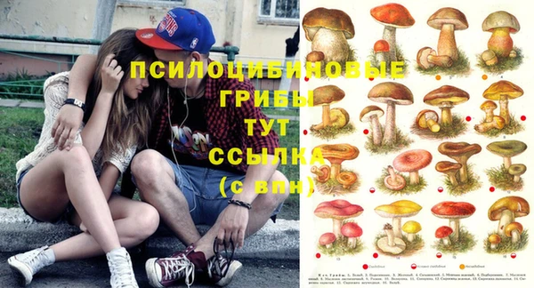 ГАЛЛЮЦИНОГЕННЫЕ ГРИБЫ Покровск