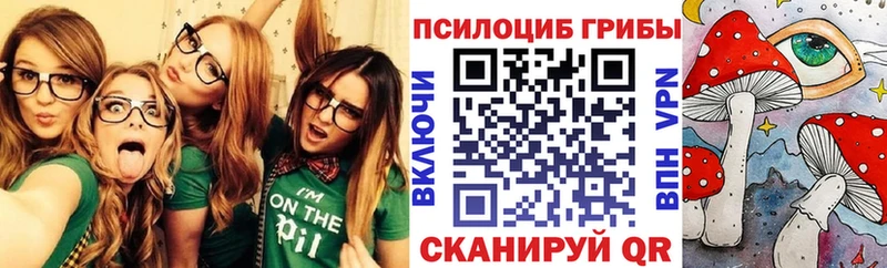 Купить закладки  Щучье  Псилоцибиновые грибы MAGIC MUSHROOMS 